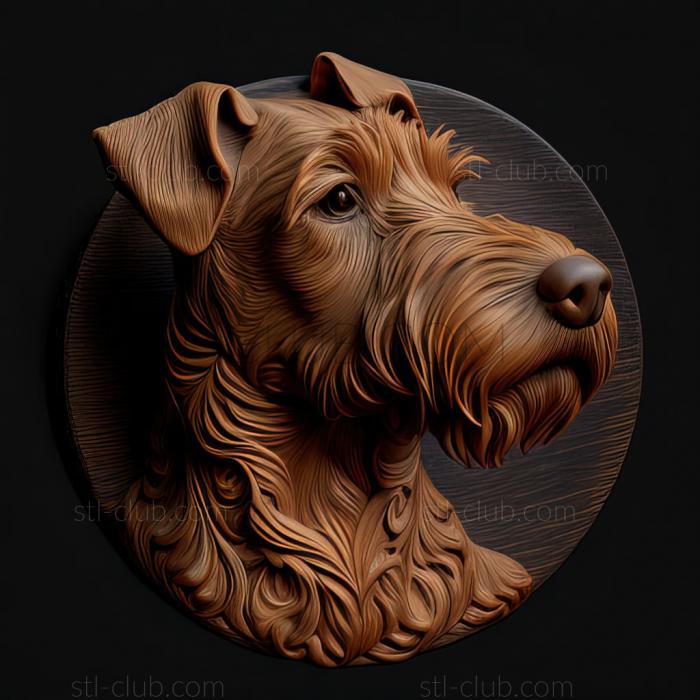 st Irish Terrier dog